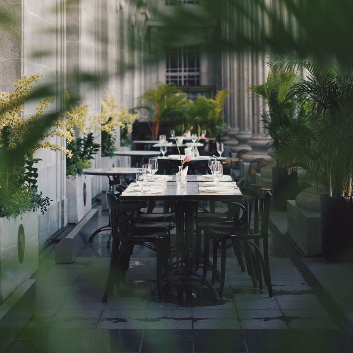 Private Dining Experience