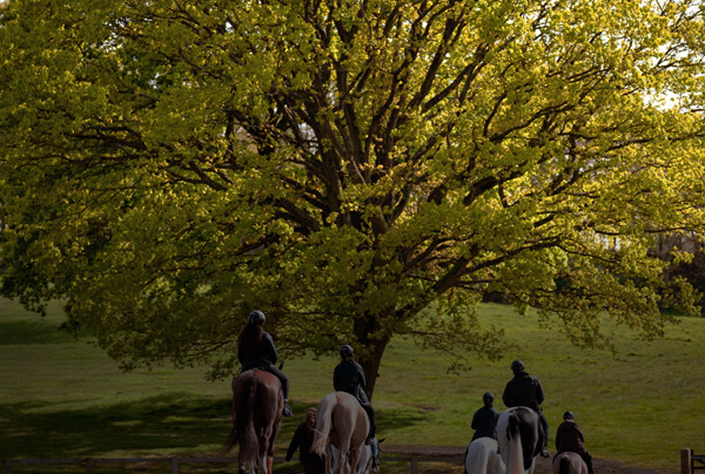 Equestrian experiences