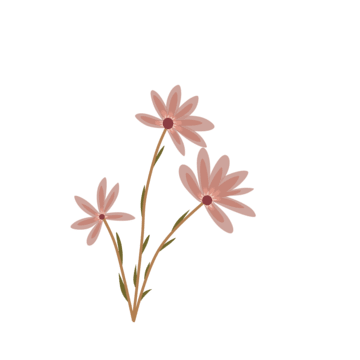 sumaira-pro-digital